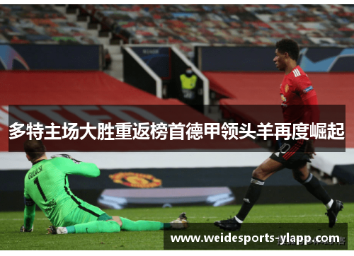 多特主场大胜重返榜首德甲领头羊再度崛起