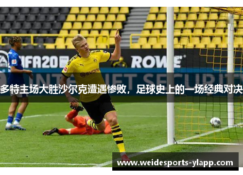 多特主场大胜沙尔克遭遇惨败，足球史上的一场经典对决