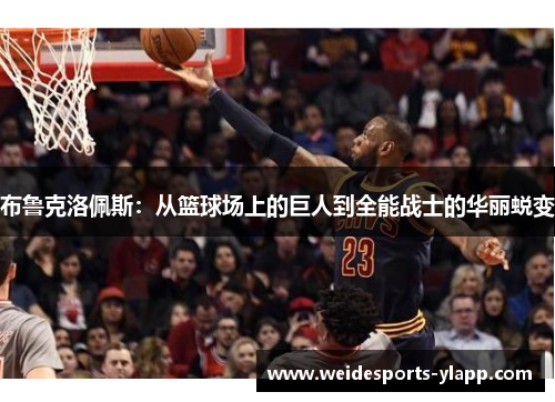 布鲁克洛佩斯：从篮球场上的巨人到全能战士的华丽蜕变