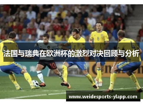 法国与瑞典在欧洲杯的激烈对决回顾与分析